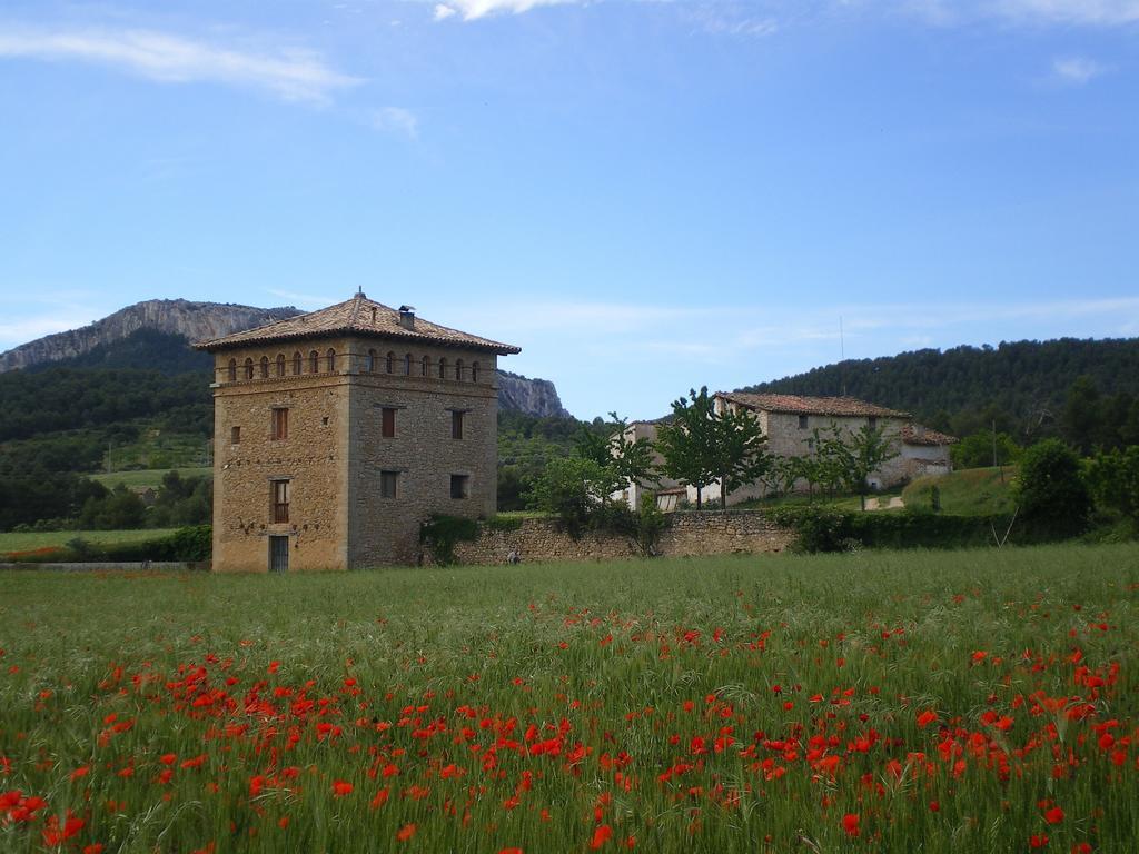 Masia Del Aragones Пеньярроия-де-Таставинс Экстерьер фото